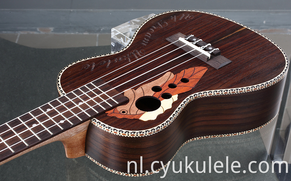 ukulele3